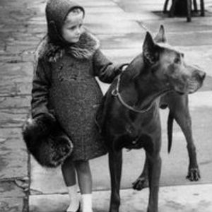 Meet your Posher, Ella